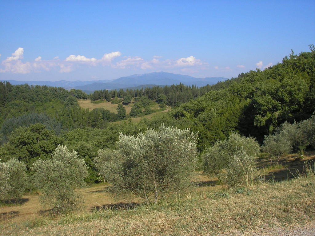 Podere Capitignano Borgo San Lorenzo Buitenkant foto